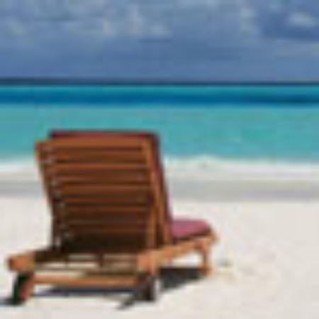 Fengqiao Rishi Shuanshuanguo